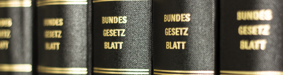 Georg Benz, Steuerberater